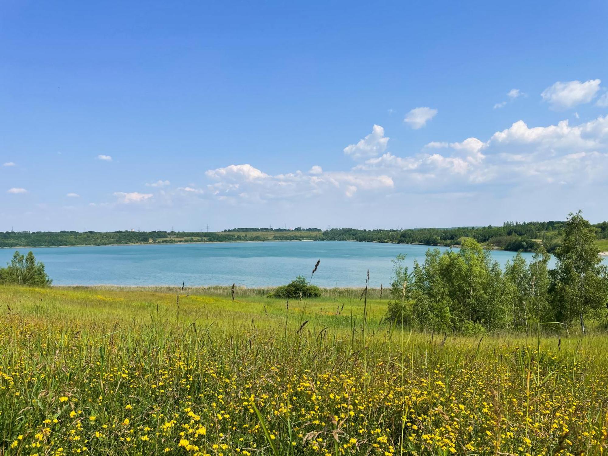Haus Im Schilf 2 - Ferienwohnungen Am Hainer See Bei Leipzig Neukieritzsch 外观 照片